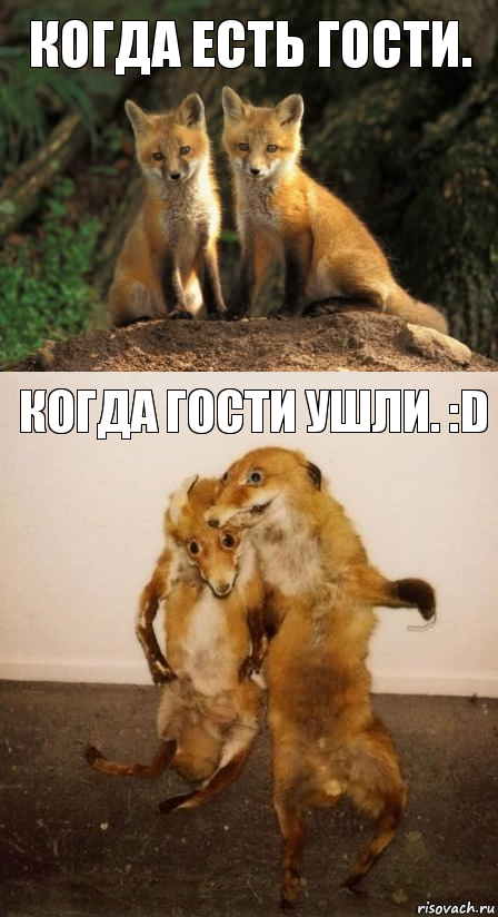 Когда есть гости. Когда гости ушли. :D