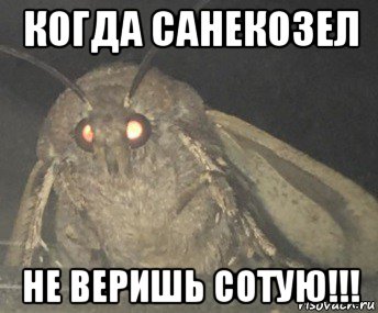 когда санекозел не веришь сотую!!!, Мем Матылёк