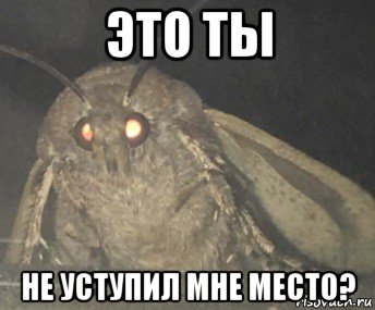 это ты не уступил мне место?, Мем Матылёк