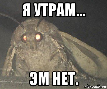 я утрам... эм нет.