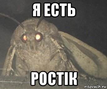 я есть ростік, Мем Матылёк