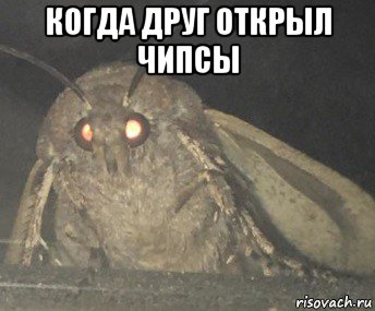 когда друг открыл чипсы , Мем Матылёк