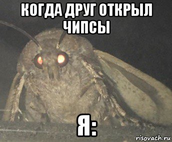 когда друг открыл чипсы я:, Мем Матылёк