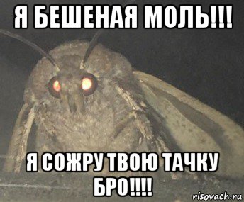 я бешеная моль!!! я сожру твою тачку бро!!!!, Мем Матылёк