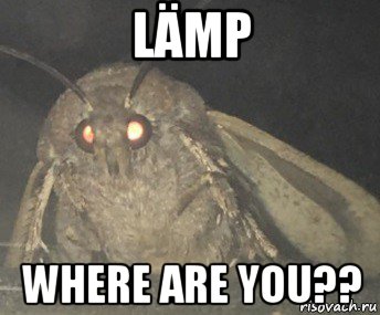 lämp where are you??, Мем Матылёк