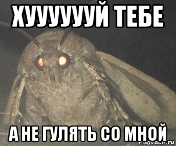 хууууууй тебе а не гулять со мной, Мем Матылёк