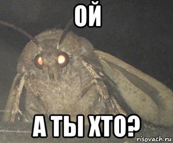 ой а ты хто?