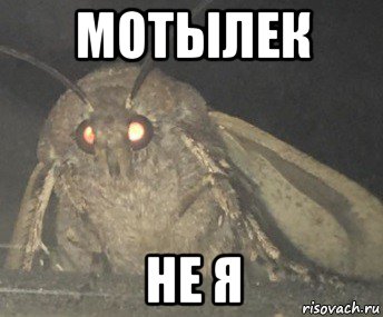 мотылек не я, Мем Матылёк