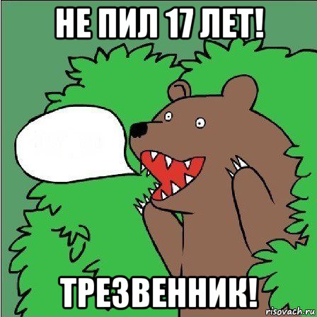 не пил 17 лет! трезвенник!, Мем Медведь-шлюха