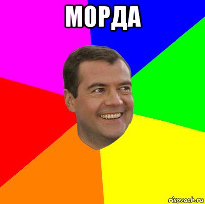 морда 