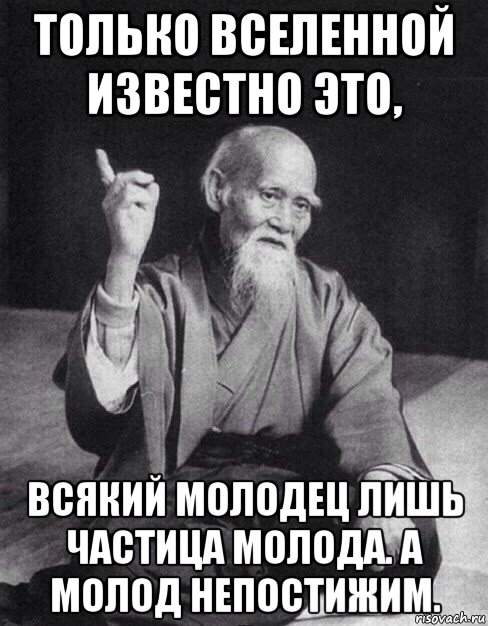 только вселенной известно это, всякий молодец лишь частица молода. а молод непостижим., Мем Монах-мудрец (сэнсей)