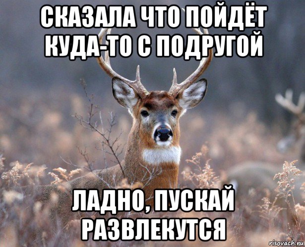 сказала что пойдёт куда-то с подругой ладно, пускай развлекутся, Мем   Наивный олень