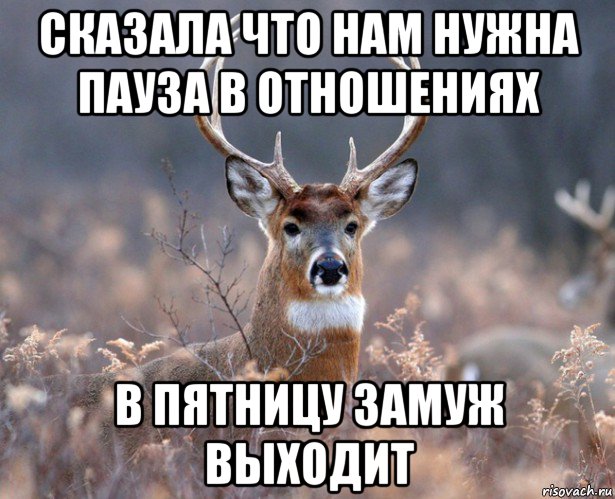 сказала что нам нужна пауза в отношениях в пятницу замуж выходит, Мем   Наивный олень