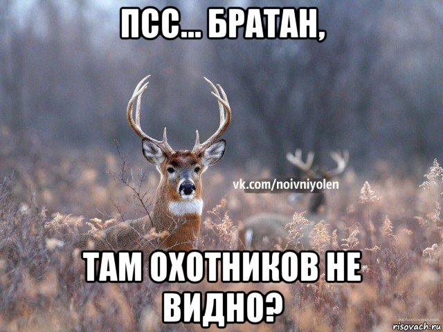 псс... братан, там охотников не видно?