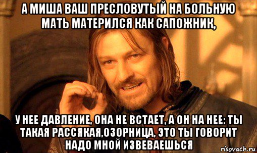 а миша ваш пресловутый на больную мать матерился как сапожник, у нее давление, она не встает, а он на нее: ты такая рассякая,озорница, это ты говорит надо мной извеваешься, Мем Нельзя просто так взять и (Боромир мем)