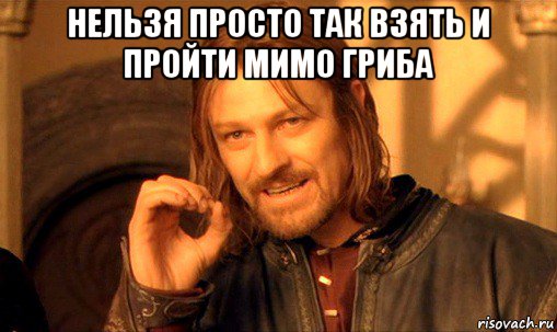 нельзя просто так взять и пройти мимо гриба , Мем Нельзя просто так взять и (Боромир мем)