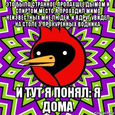 это было странное, пропахшее дымом и спиртом место.я проходил мимо неизвестных мне людей, и вдруг увидел на столе 3 прокуренных водника и тут я понял: я дома, Мем Омская птица