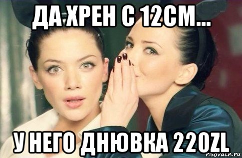 да хрен с 12см... у него днювка 220zl, Мем  Он