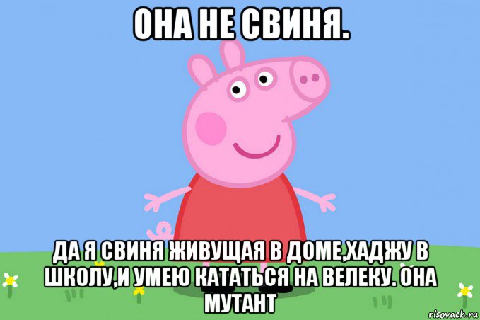 она не свиня. да я свиня живущая в доме,хаджу в школу,и умею кататься на велеку. она мутант, Мем Пеппа