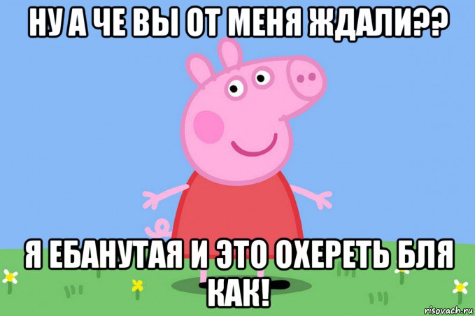 ну а че вы от меня ждали?? я ебанутая и это охереть бля как!, Мем Пеппа