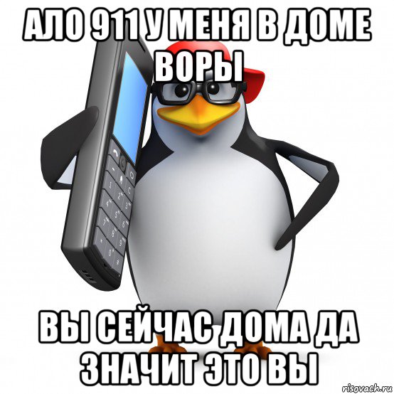 ало 911 у меня в доме воры вы сейчас дома да значит это вы, Мем   Пингвин звонит