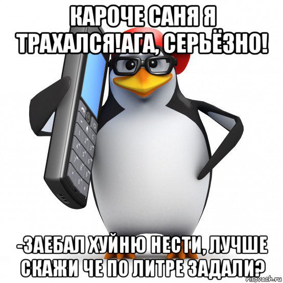 кароче саня я трахался!ага, серьёзно! -заебал хуйню нести, лучше скажи че по литре задали?, Мем   Пингвин звонит