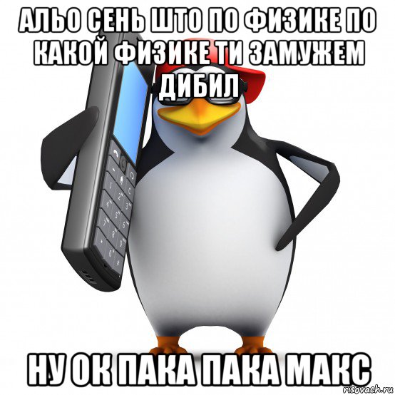 альо сень што по физике по какой физике ти замужем дибил ну ок пака пака макс, Мем   Пингвин звонит