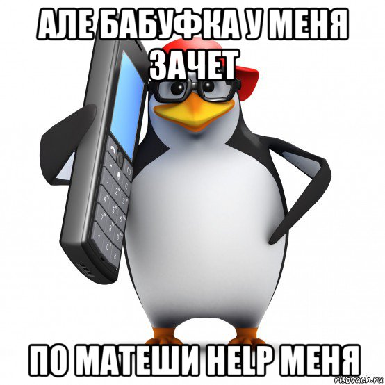 але бабуфка у меня зачет по матеши help меня, Мем   Пингвин звонит