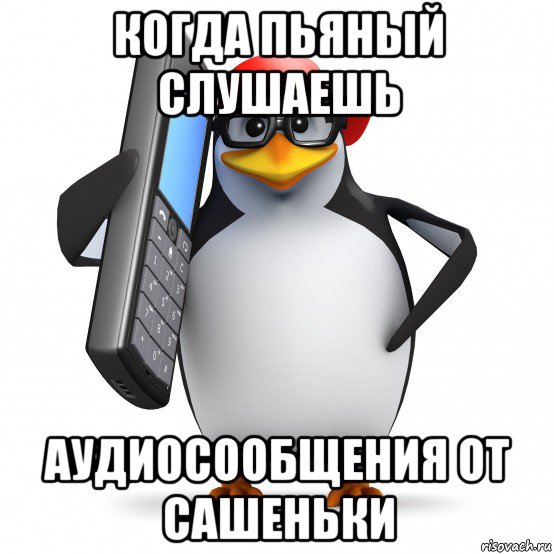 когда пьяный слушаешь аудиосообщения от сашеньки, Мем   Пингвин звонит