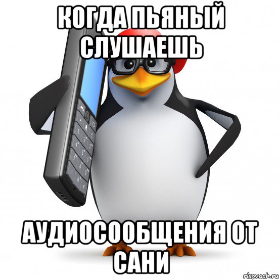 когда пьяный слушаешь аудиосообщения от сани, Мем   Пингвин звонит