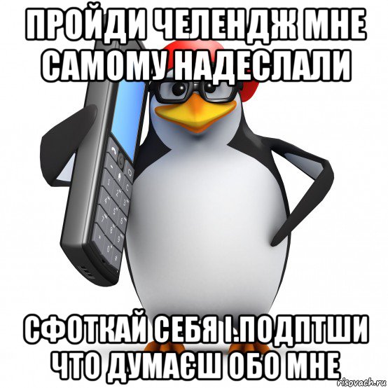 пройди челендж мне самому надеслали сфоткай себя і.подптши что думаєш обо мне, Мем   Пингвин звонит