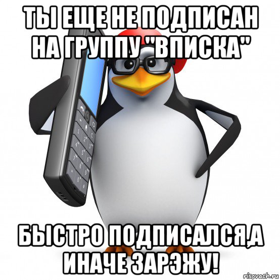 ты еще не подписан на группу "вписка" быстро подписался,а иначе зарэжу!, Мем   Пингвин звонит