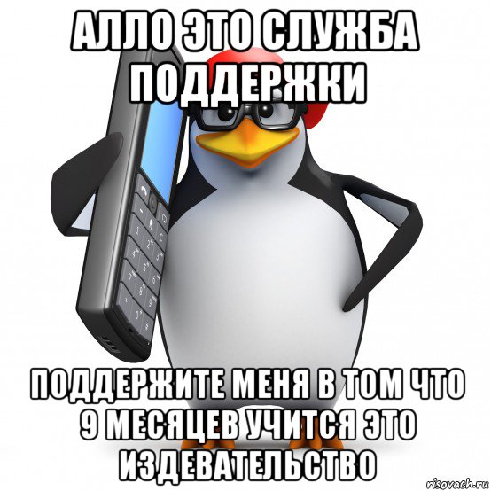 алло это служба поддержки поддержите меня в том что 9 месяцев учится это издевательство, Мем   Пингвин звонит