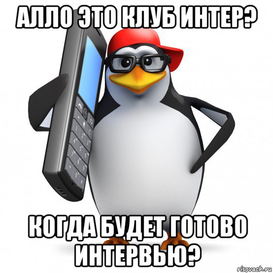 алло это клуб интер? когда будет готово интервью?, Мем   Пингвин звонит