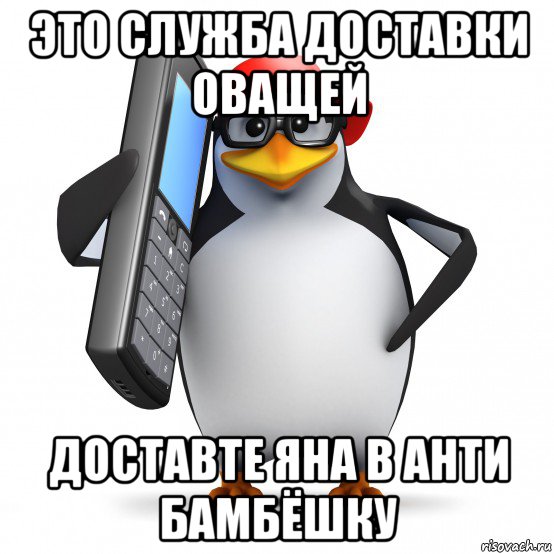 это служба доставки оващей доставте яна в анти бамбёшку, Мем   Пингвин звонит