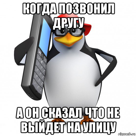 когда позвонил другу а он сказал что не выйдет на улицу, Мем   Пингвин звонит