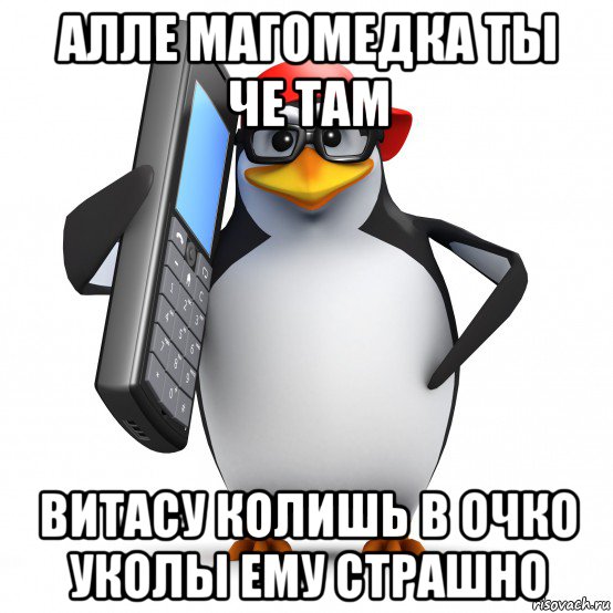 алле магомедка ты че там витасу колишь в очко уколы ему страшно, Мем   Пингвин звонит