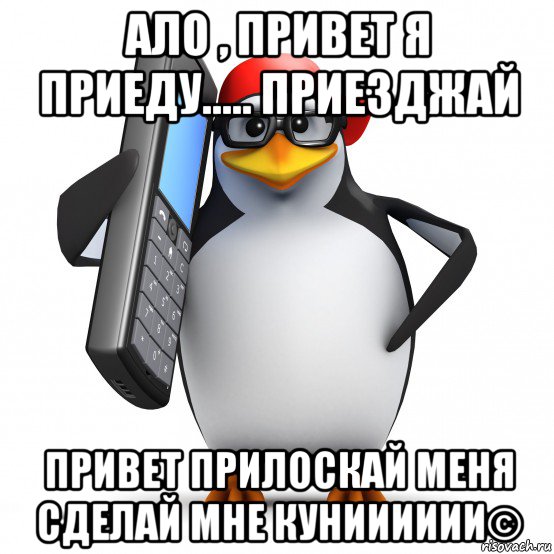 ало , привет я приеду..... приезджай привет прилоскай меня сделай мне кунииииии©, Мем   Пингвин звонит