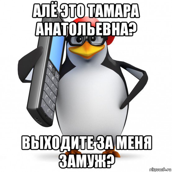 алё это тамара анатольевна? выходите за меня замуж?, Мем   Пингвин звонит