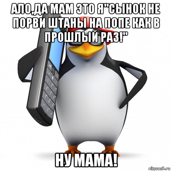 ало,да мам это я"сынок не порви штаны на попе как в прошлый раз!" ну мама!, Мем   Пингвин звонит