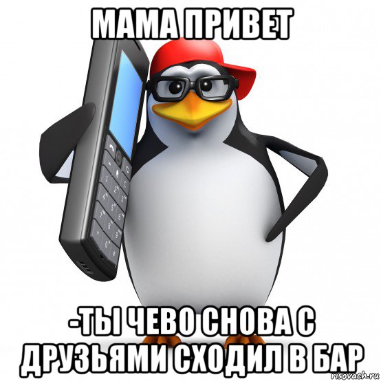 мама привет -ты чево снова с друзьями сходил в бар, Мем   Пингвин звонит