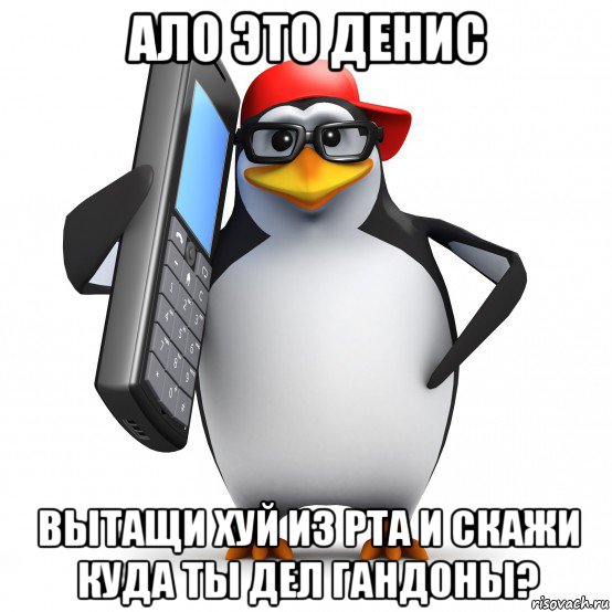 ало это денис вытащи хуй из рта и скажи куда ты дел гандоны?, Мем   Пингвин звонит