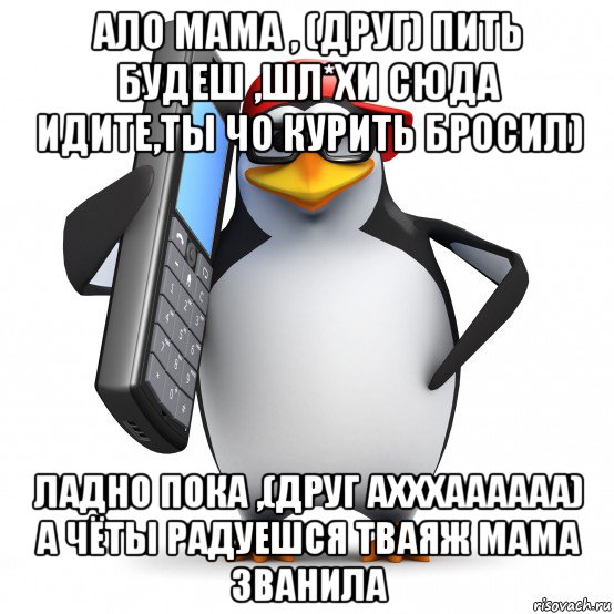 ало мама , (друг) пить будеш ,шл*хи сюда идите,ты чо курить бросил) ладно пока ,(друг ахххаааааа) а чёты радуешся тваяж мама званила, Мем   Пингвин звонит