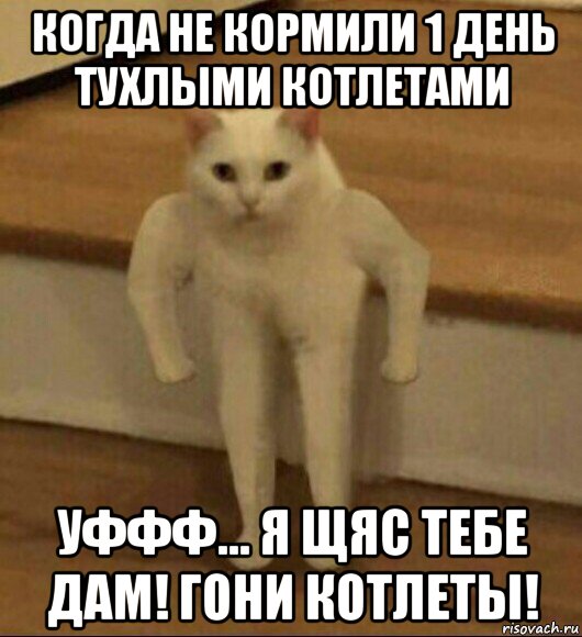 когда не кормили 1 день тухлыми котлетами уффф... я щяс тебе дам! гони котлеты!, Мем  Полукот