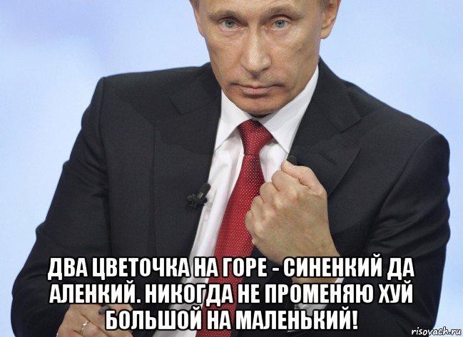  два цветочка на горе - синенкий да аленкий. никогда не променяю хуй большой на маленький!, Мем Путин показывает кулак