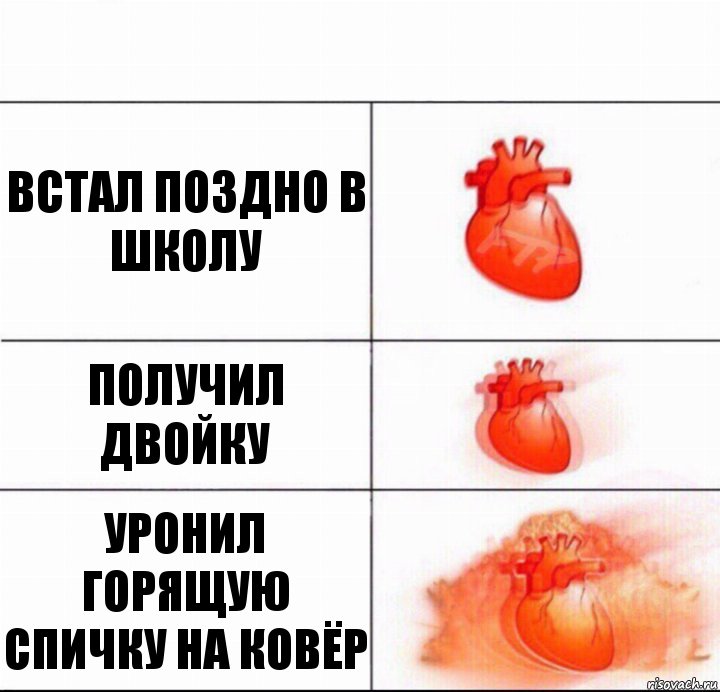 Встал поздно в школу Получил двойку Уронил горящую спичку на ковёр