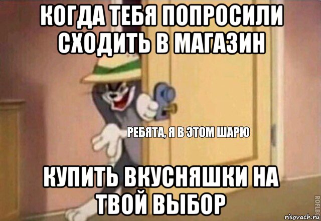 когда тебя попросили сходить в магазин купить вкусняшки на твой выбор, Мем    Ребята я в этом шарю