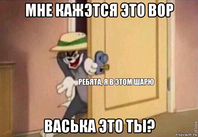 мне кажэтся это вор васька это ты?, Мем    Ребята я в этом шарю