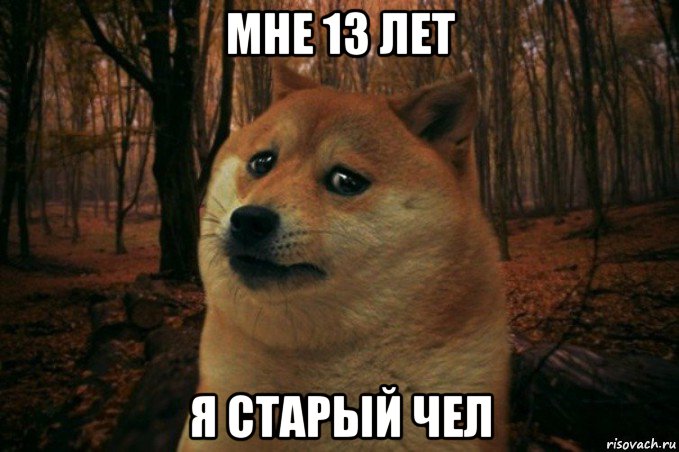 мне 13 лет я старый чел, Мем SAD DOGE