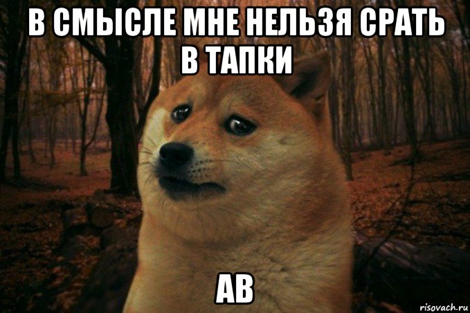 в смысле мне нельзя срать в тапки ав, Мем SAD DOGE